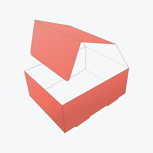 Double Wall Tuck Top Boxes - Image 2