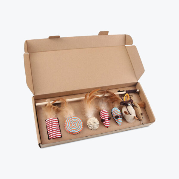 Custom Printed Cat Toy Packaging Boxes